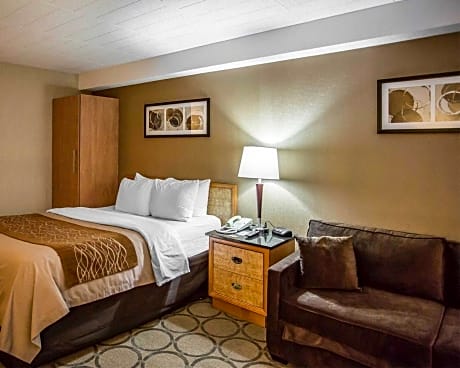 1 Queen Bed, No Smoking,