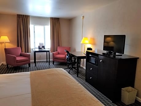 Business King Room - Non-Smoking