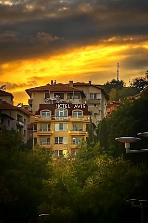 Hotel Avis