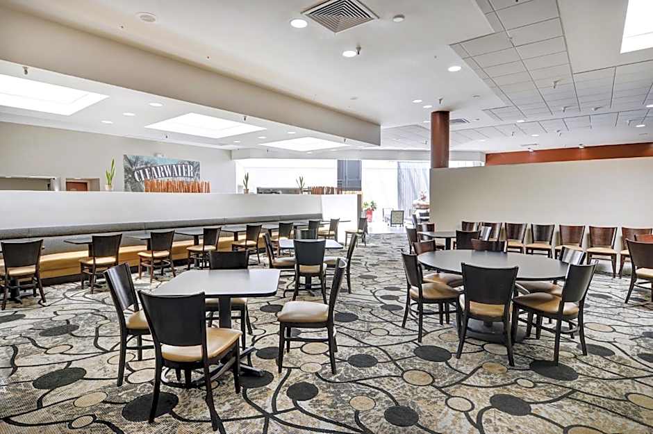 Holiday Inn St. Petersburg N - Clearwater By IHG