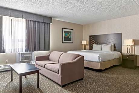 1 King Bed, Suite, Nonsmoking