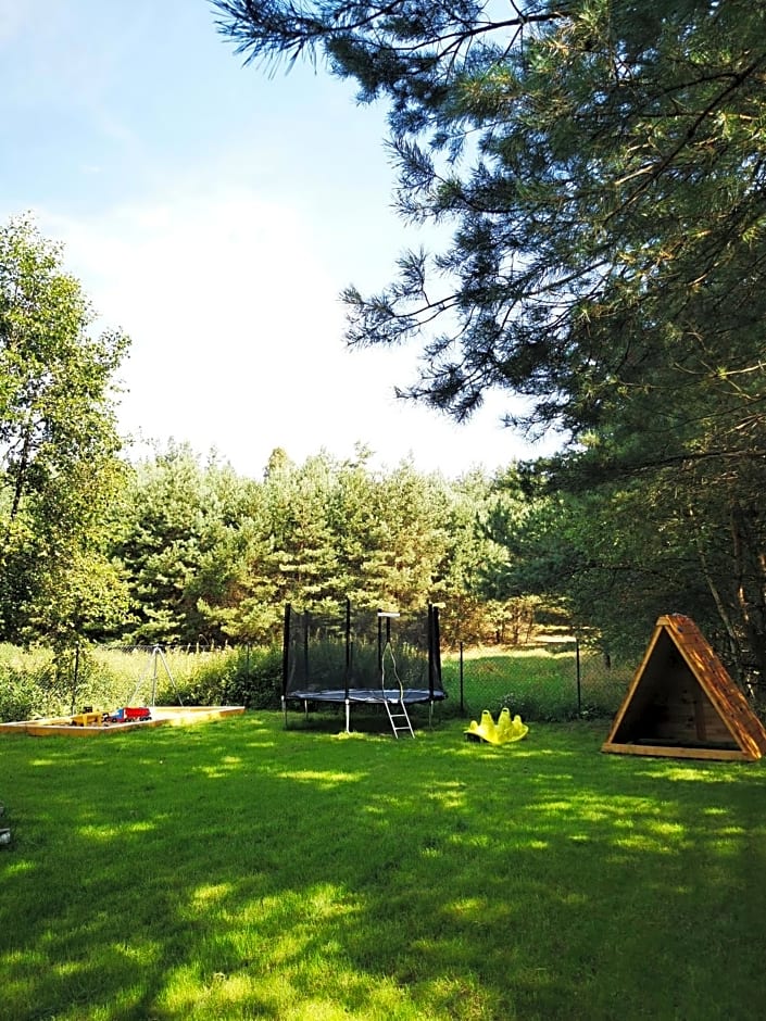 Domki Między Drzewami