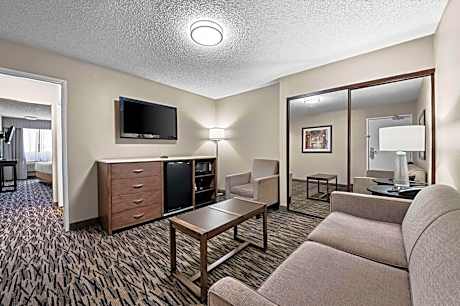 1 Bedroom King Suite