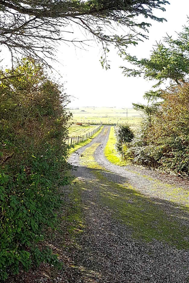 Aurora Bed & Breakfast