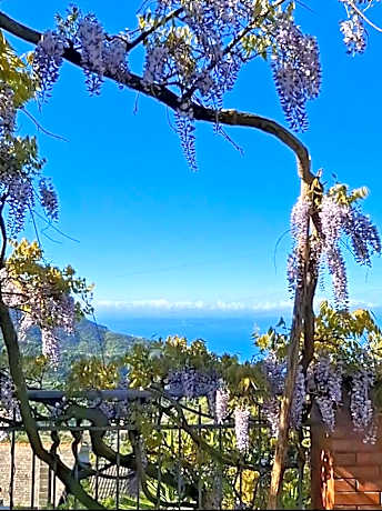 Bed&Breakfast Bella Vita