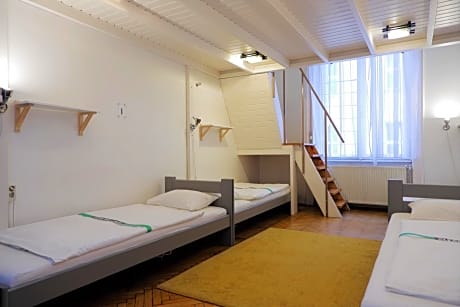 Single Bed in Mixed 6-Bed Dormitory Room