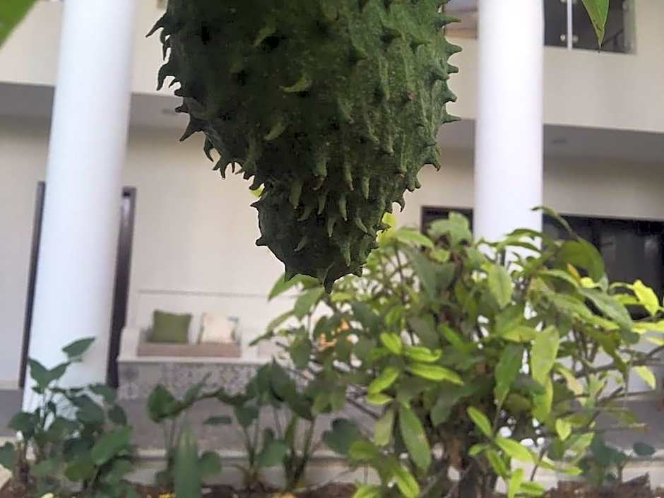 Hotel Tuparenda Bacalar