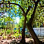 The Little Hideaway Guesthouse