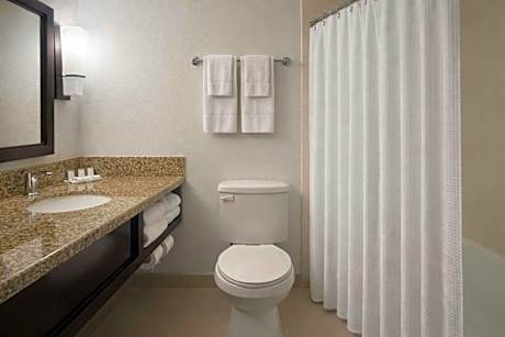 One-Bedroom Suite with Two Queen Beds, Park View, Sofa Bed and Roll-In Shower - Mobility Access/Hearing Accessible