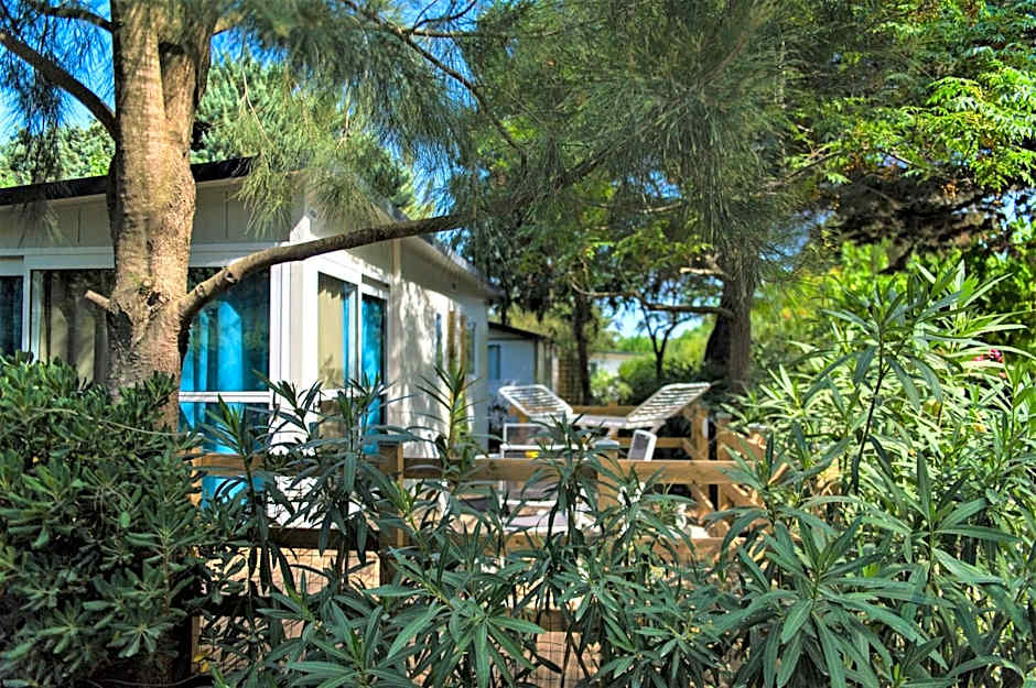 Camping La Pinede Enchantee