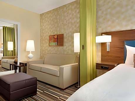 1 King Bed Studio Suite Nonsmoking