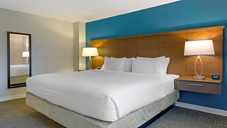 One-Bedroom King Suite