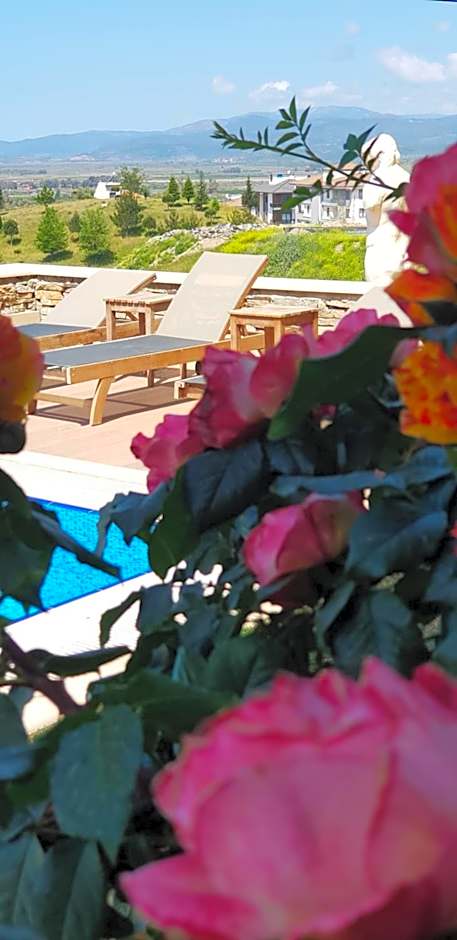 Vinifera Ephesus Hotel