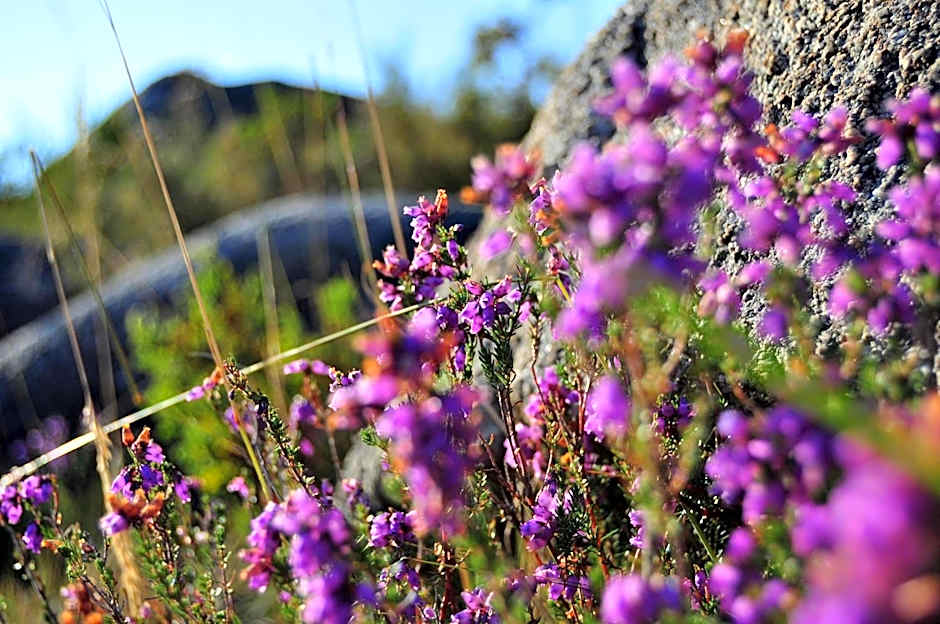 Hotel Castrum Villae - Walk Hotels