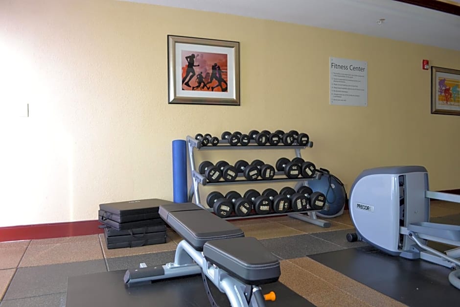 Holiday Inn Express Hotel & Suites Gainesville By IHG
