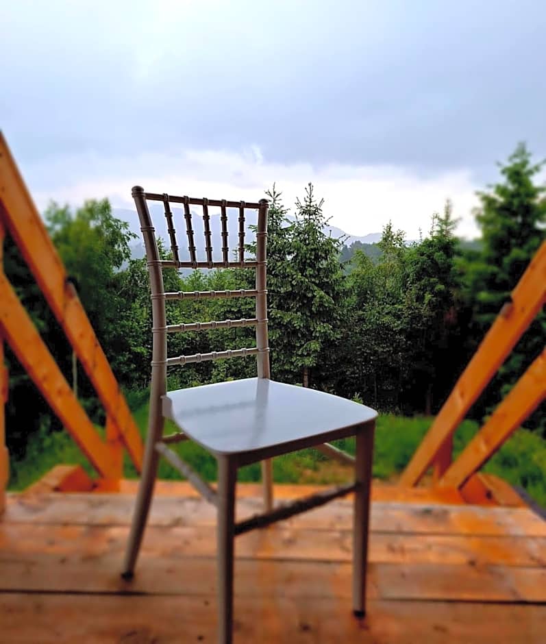 Cabana doi mesteceni