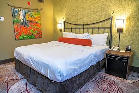 Standard Hotel Room King (cstk)