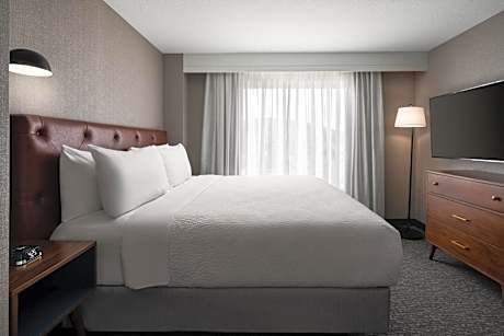 Penthouse King Loft Suite with Sofa Bed