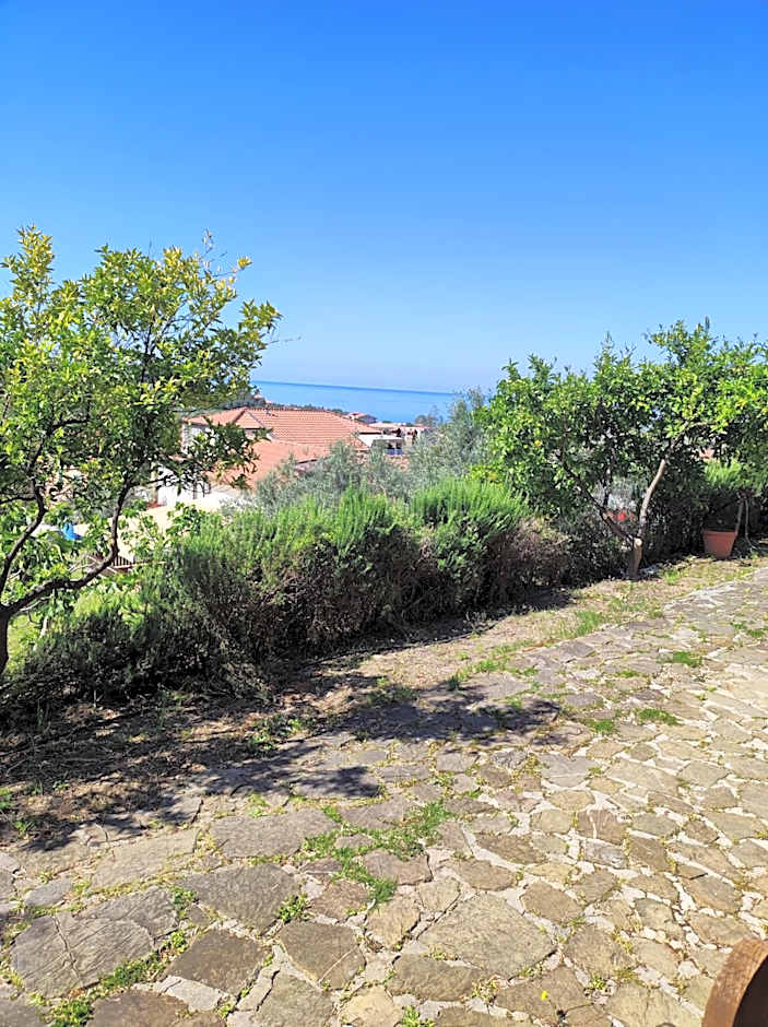 IL CONTE DI MARRAONE