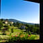 B&B La Provenzale