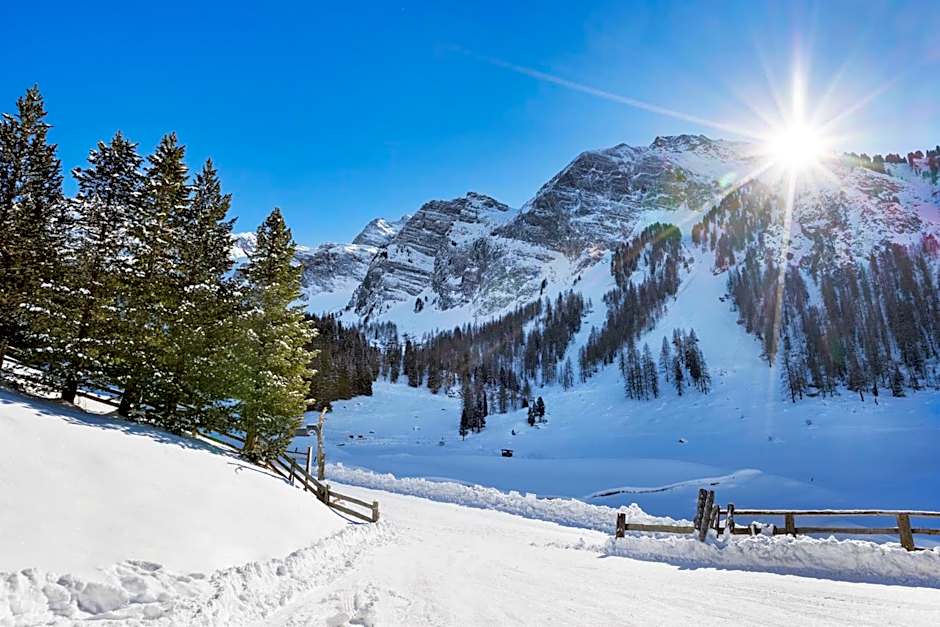 Berggasthaus Höllensteinhütte