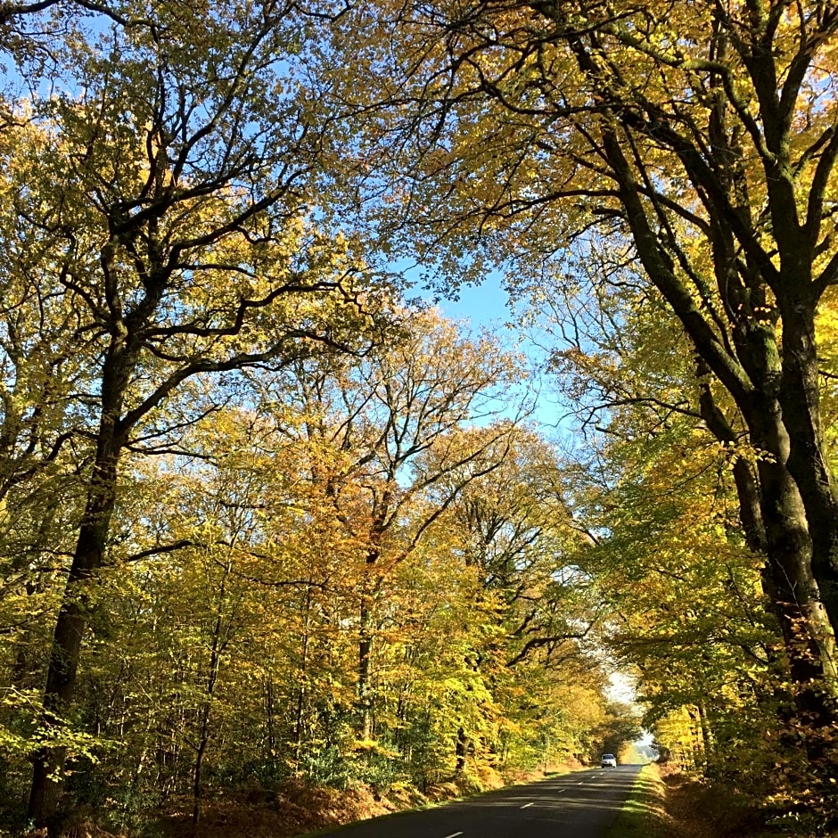 L'Hôtié de Brocéliande à Paimpont, au coeur des sites naturels et légendaires