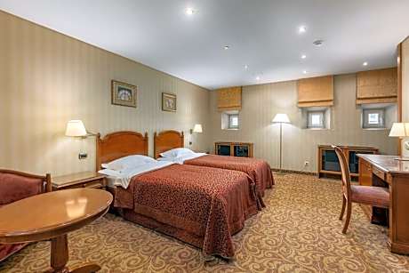 Attic Twin Room with Small Window