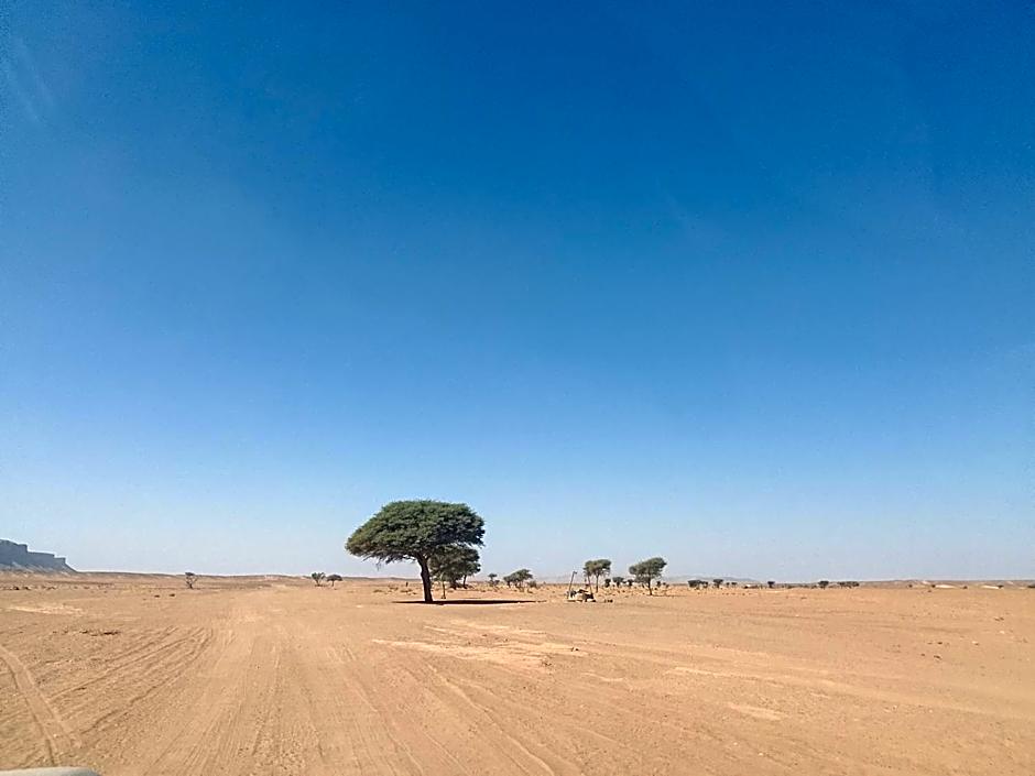 Bivouac beauté du désert