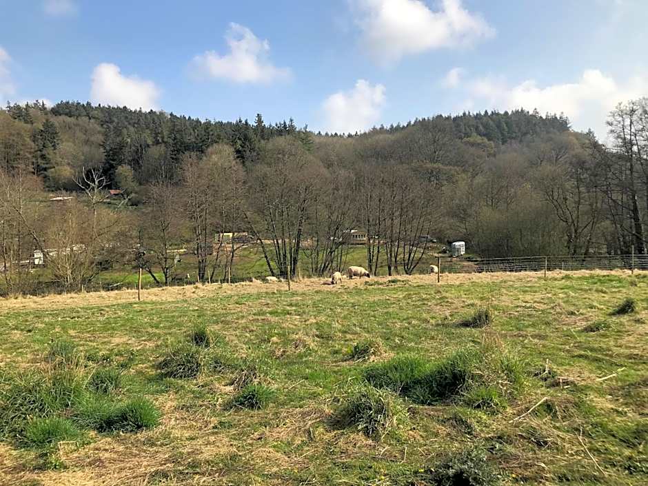 Shepherds Huts Ham Hill, 2 double beds, Bathroom, Lounge, Diner, Kitchen, LOVE dogs & Cats Looking out to lake and by Ham Hill Country Park plus parking for large vehicles available also great deals on workers long term This is the place to relax and BBQ