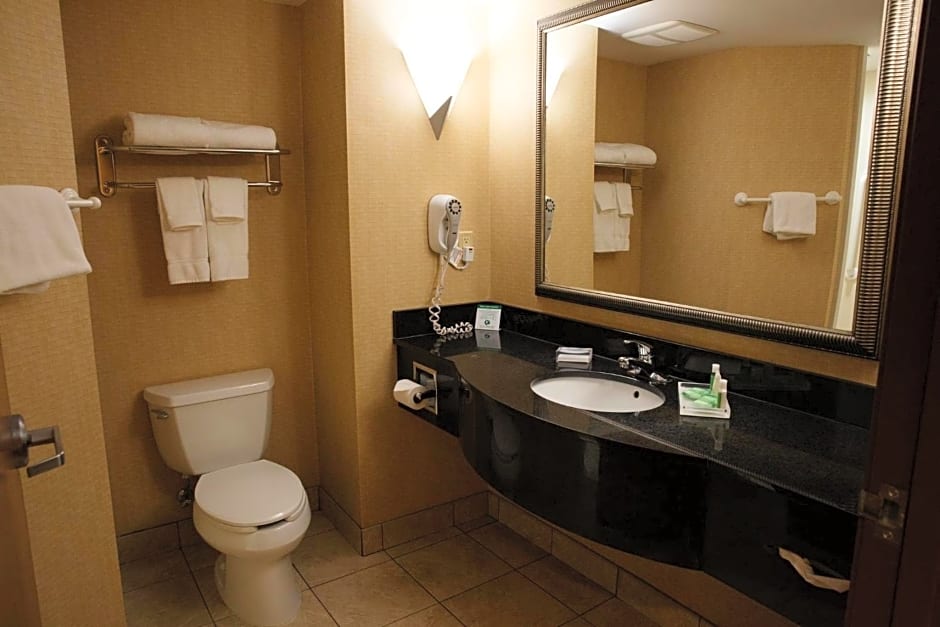 Holiday Inn Battle Creek By IHG