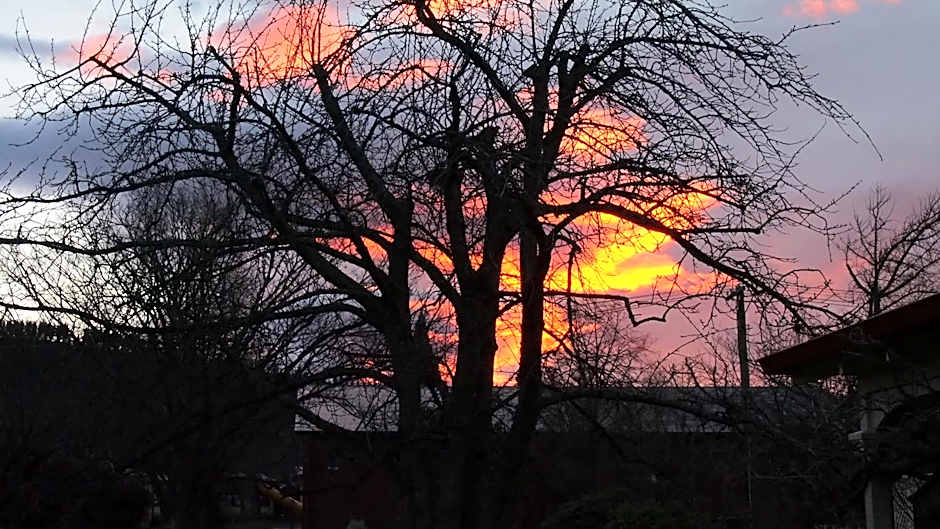 Hartley Homestead Boutique Bed & Breakfast