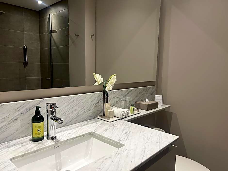 York Medellin, Curio Collection by Hilton