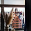 Hotel Marina Club Old Town View