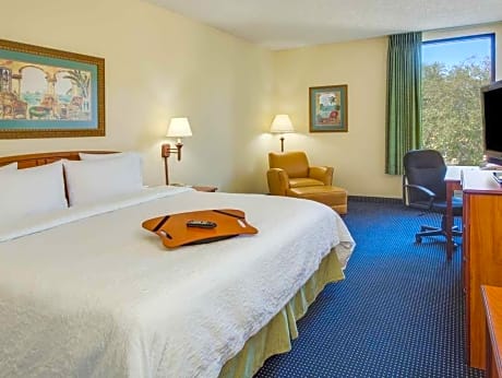 1 King Bed Nonsmoking With Tub