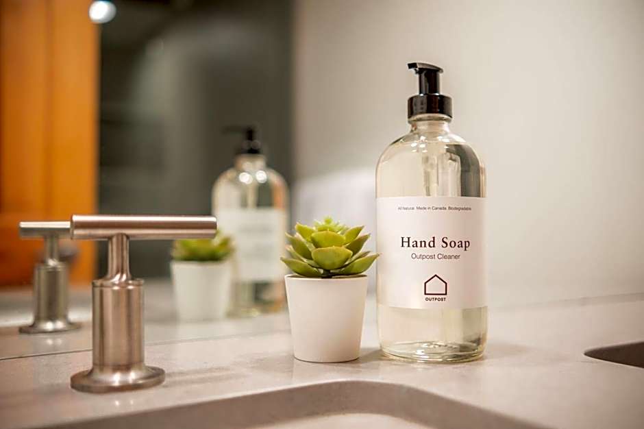 Forest Trails by Outpost Whistler