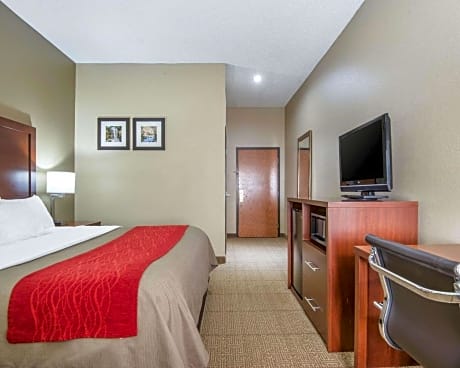 1 King Bed, Non-Smoking