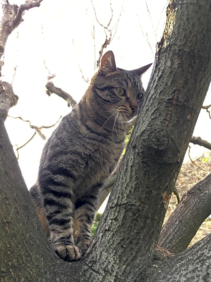 B&B Chambre de Julie Le Jardin