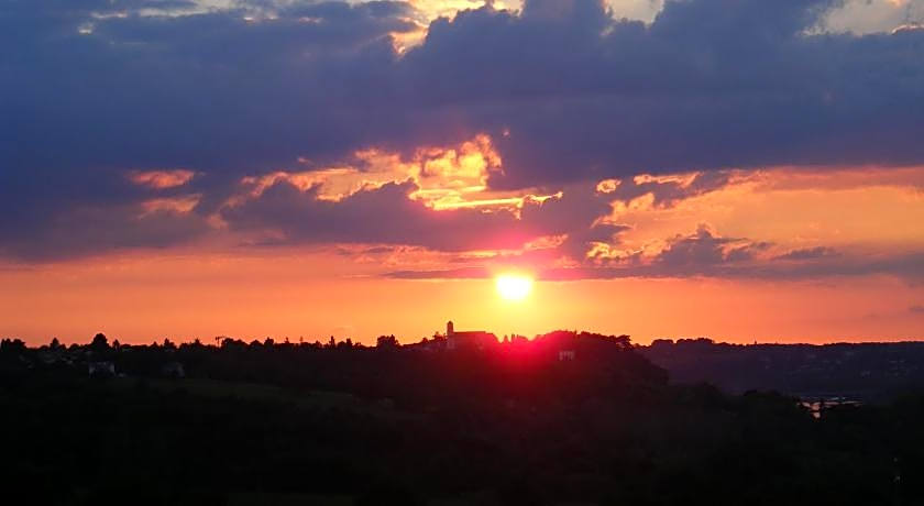 Chambres d'Hotes Vignes et Loire
