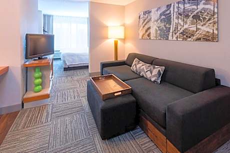 SpringHill Suites by Marriott Rochester Mayo Clinic Area/Saint Marys