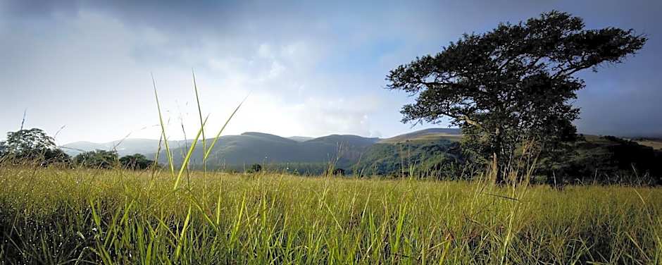 Caracal Lodge