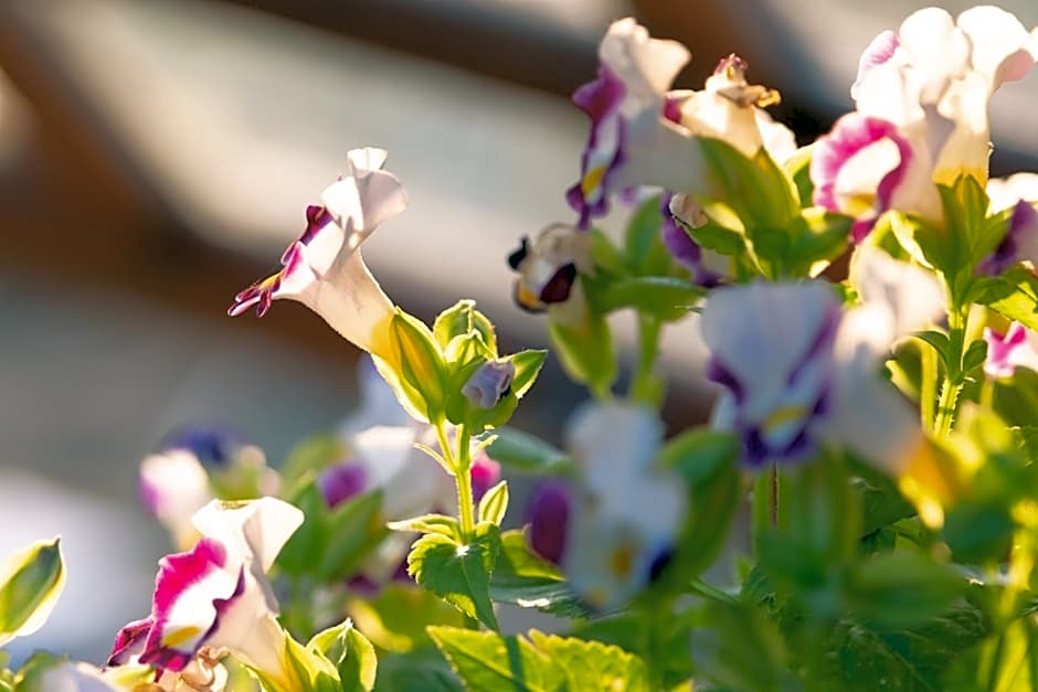 Marasca Khao Yai - Small Luxury Hotels of the World