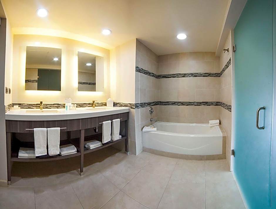 Hampton Inn & Suites by Hilton Aguascalientes