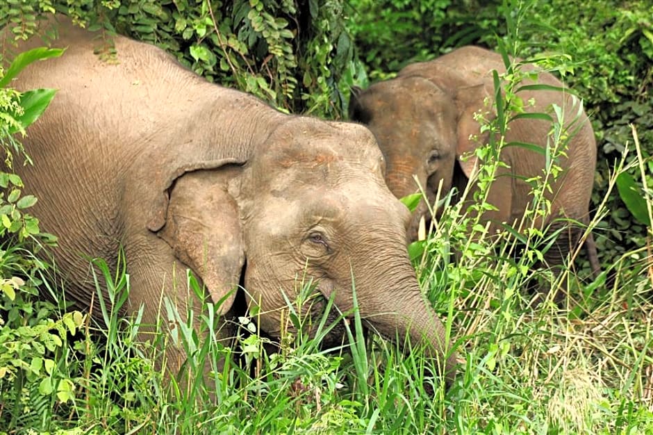 Four Points By Sheraton Sandakan