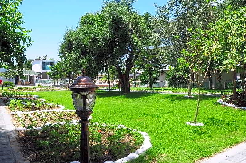 Clover Magic Altinkum Park