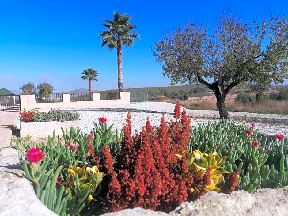 Finca Guillermo Murcia