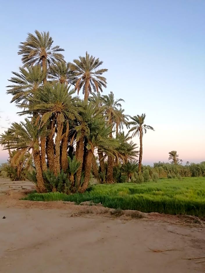 Gîte Ait lmaalam chez Ahmed