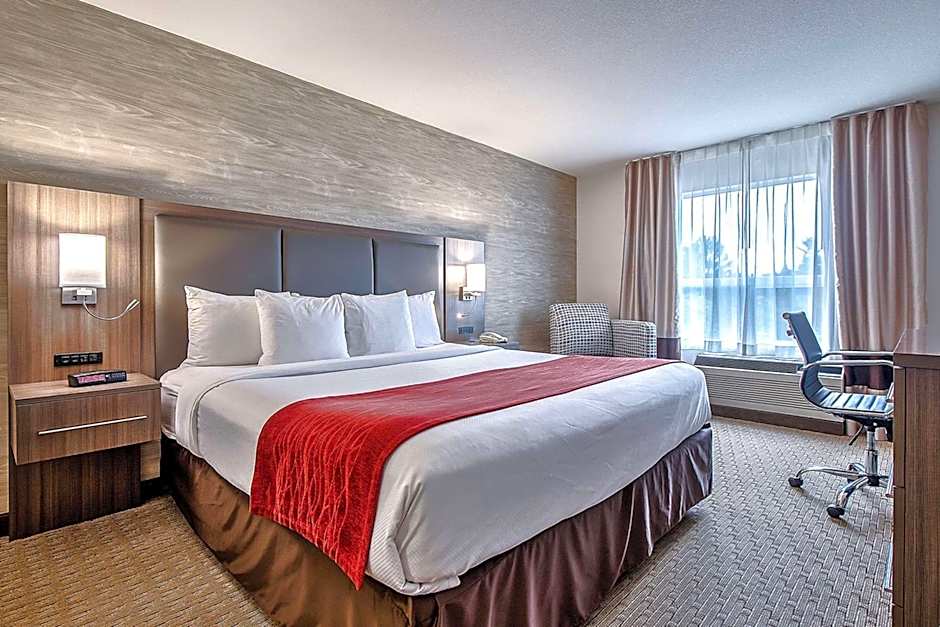 Comfort Inn And Suites South