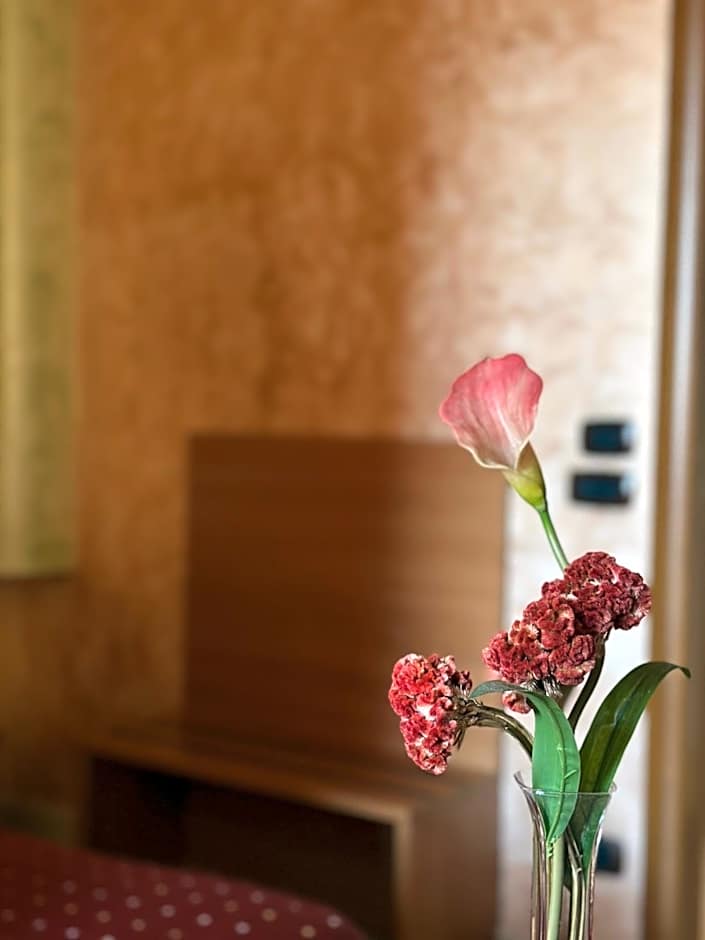 Il Giardino degli Aranci