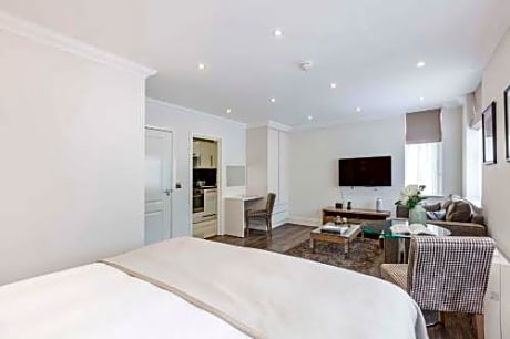 Superior Studio Apartment