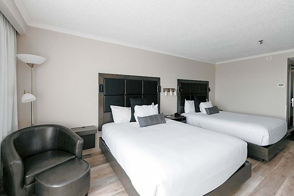 Hotel Universel Alma